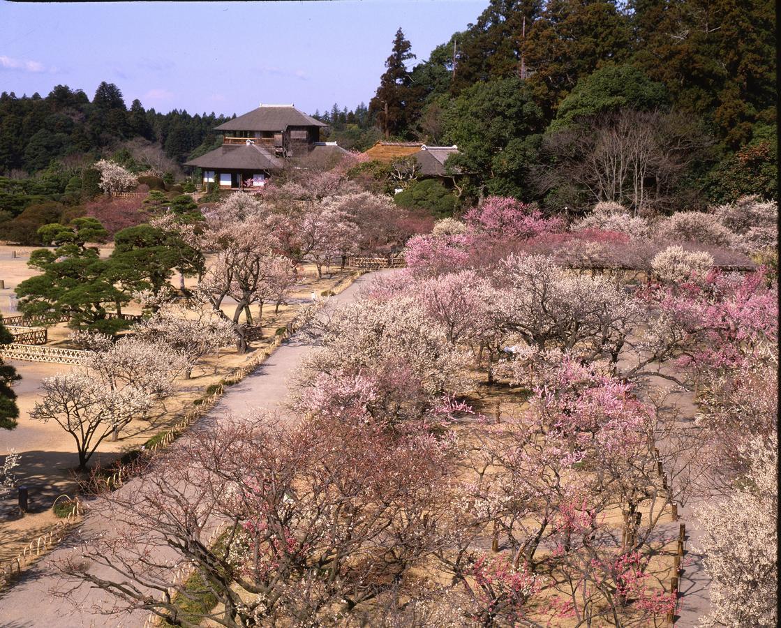 Terrace Inn Katsuta Hitachinaka Buitenkant foto